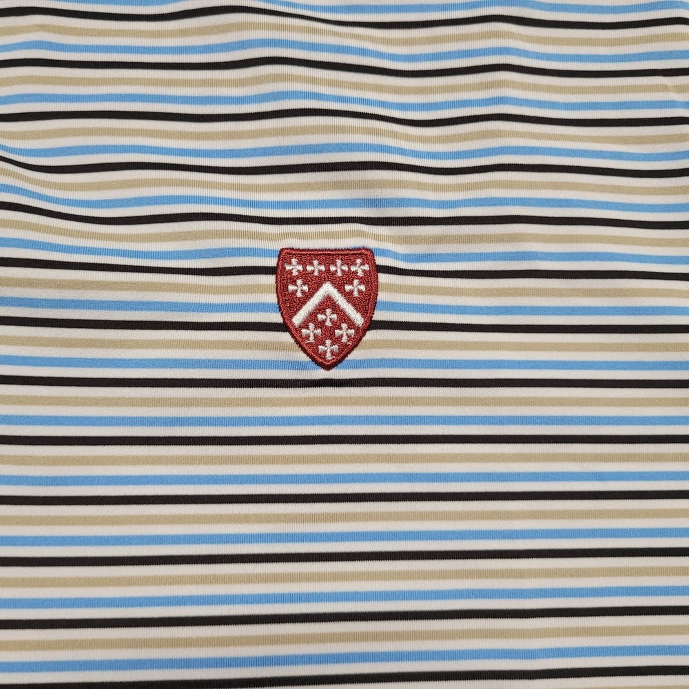 Footjoy Polo Shirt Mens XL Multi Color Striped Golf Performance Stretch Berkley - Picture 6 of 16